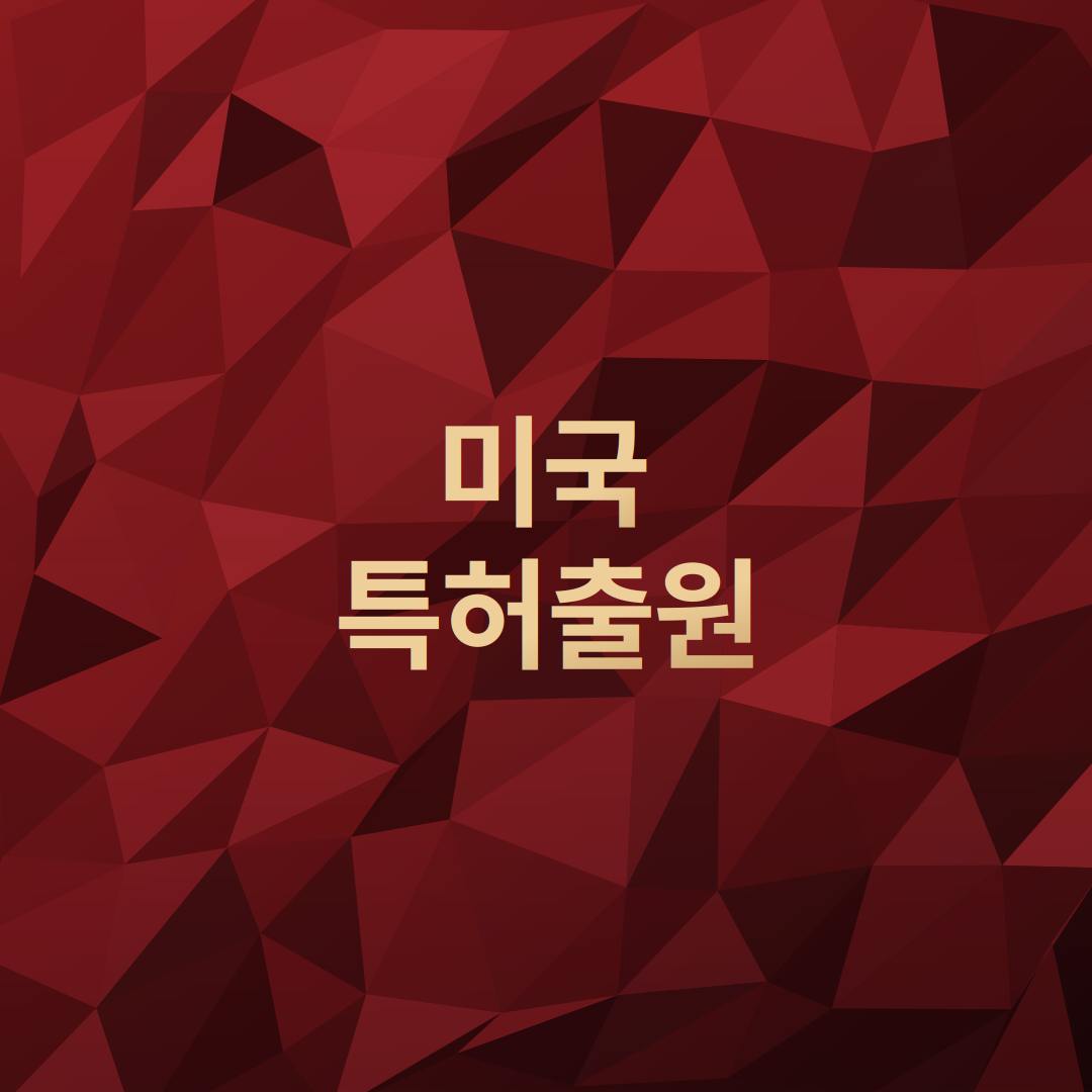 미국특허출원